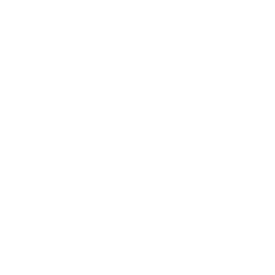 Acurx Pharmaceuticals, Inc. Share Price